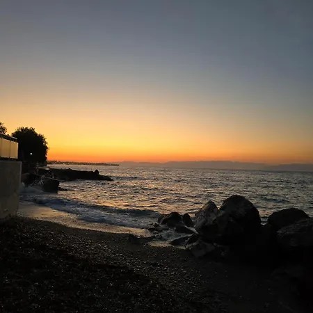 Beachfront Bliss Oasis 아파트